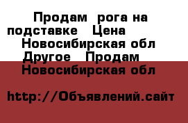 Продам  рога на подставке › Цена ­ 8 000 - Новосибирская обл. Другое » Продам   . Новосибирская обл.